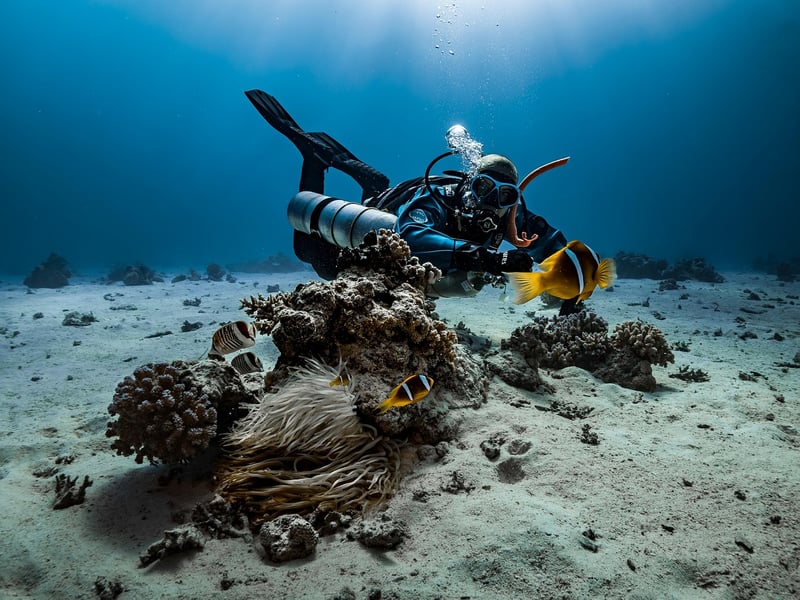 Scuba Diving in Pearl Harbor